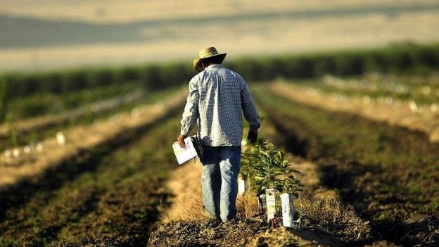 Apa itu agroteknologi