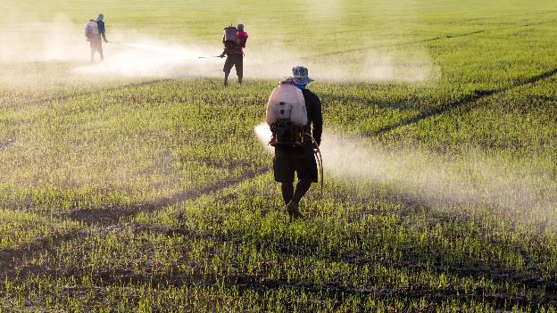 Prospek kerja agroteknologi